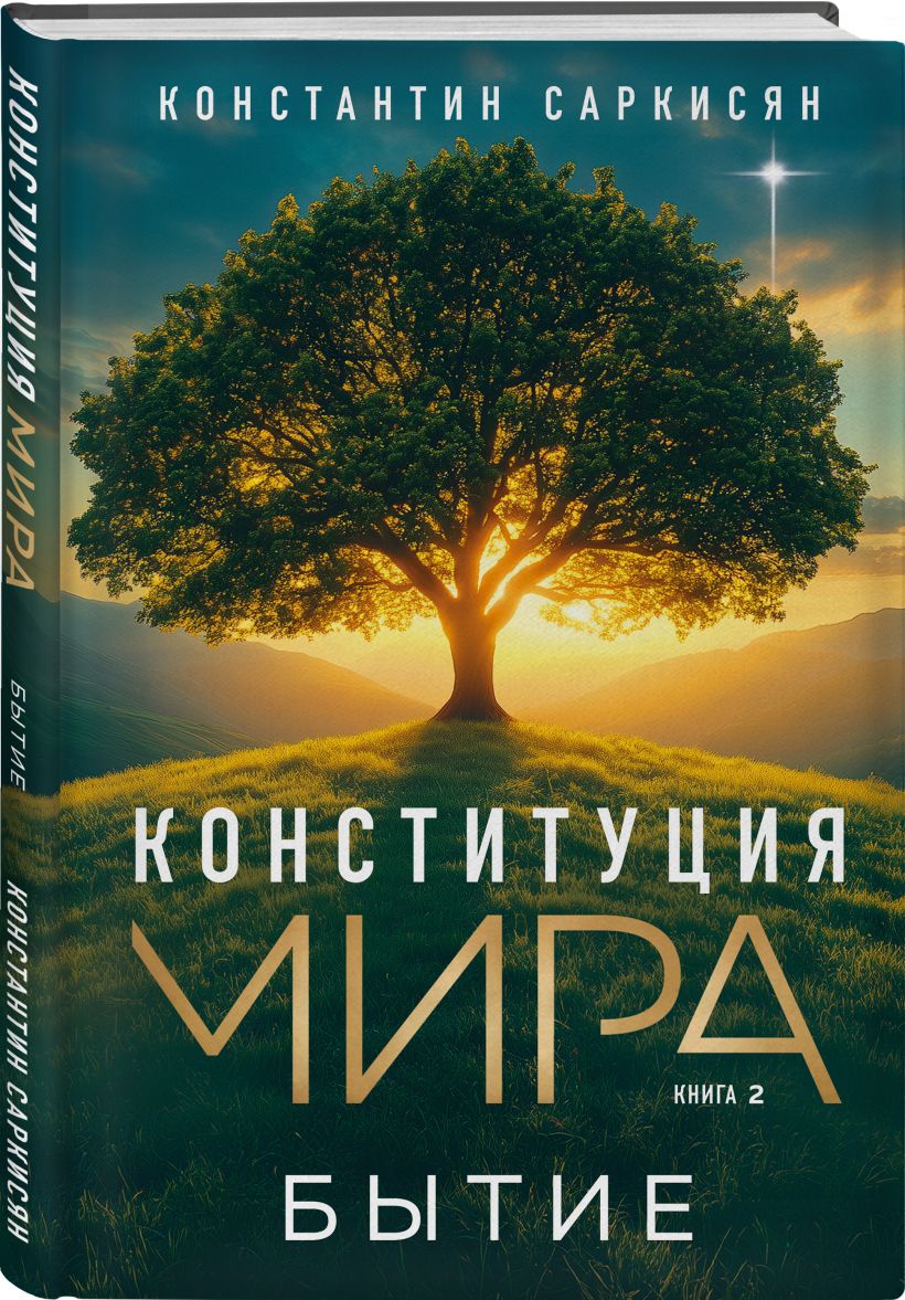 Набор нехудожественных книг Эксмо Конституция мира, твердая обложка (Саркисян Константин) — фото 4