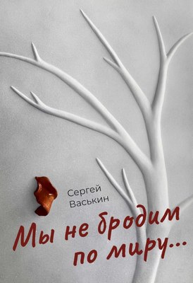 Книга Де'Либри Мы не бродим по миру, твердая обложка (Васькин Сергей) - 