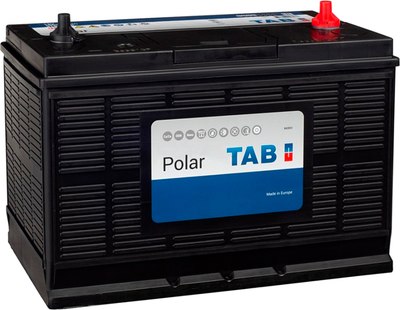 Автомобильный аккумулятор TAB Polar 31S-1000 D33 L+ - 