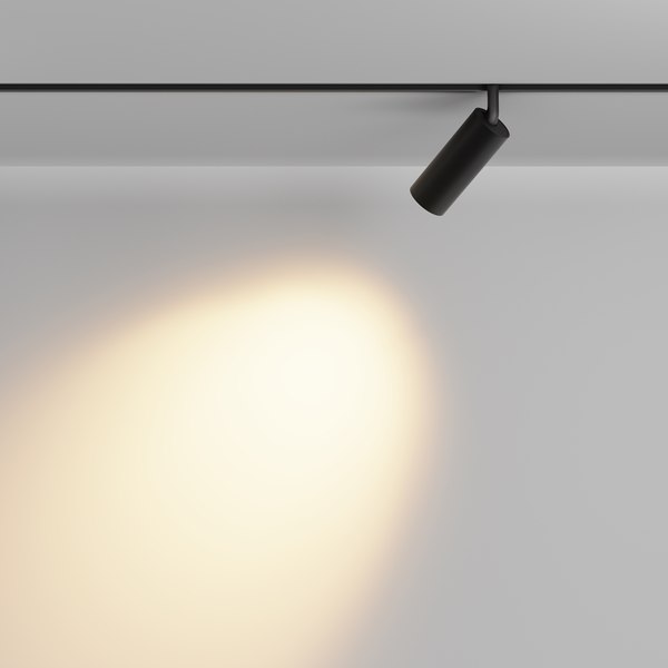 Трековый светильник Maytoni Focus Led TR032-2-12W2.7K-M-B