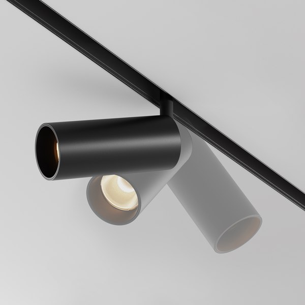 Трековый светильник Maytoni Focus Led TR032-2-12W2.7K-M-B