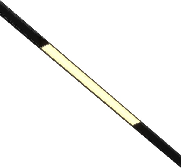 Трековый светильник Maytoni Basis TR030-2-12W2.7K-B