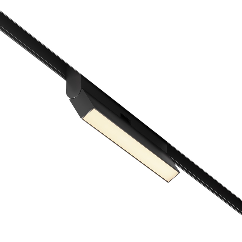 Трековый светильник Maytoni Basis TR036-2-12W2.7K-B