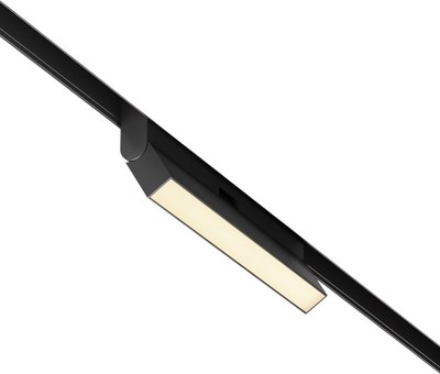 Трековый светильник Maytoni Basis TR036-2-12W2.7K-B - 
