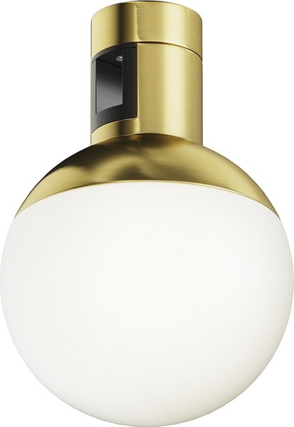 Трековый светильник Maytoni Luna TR149-1-5W4K-BS