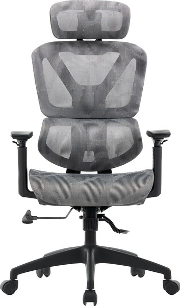 Купить Кресло офисное Mio Tesoro Оскар AF-C4226 в Бресте