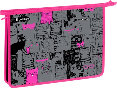 

Папка для тетрадей, Happy Cats / BR-PP-A40504