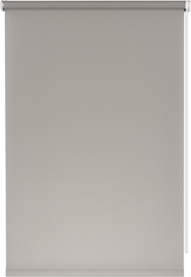 Рулонная штора Franc Gardiner Glasgow 80x160 / 9403219295 (серый) -