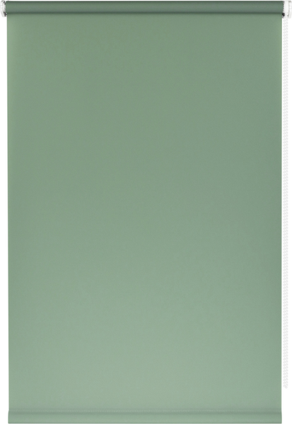 Рулонная штора Franc Gardiner Glasgow 85x160 / 9403219461 (оливковый)