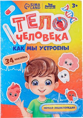 

Развивающий игровой набор, Тело человека / 10326645