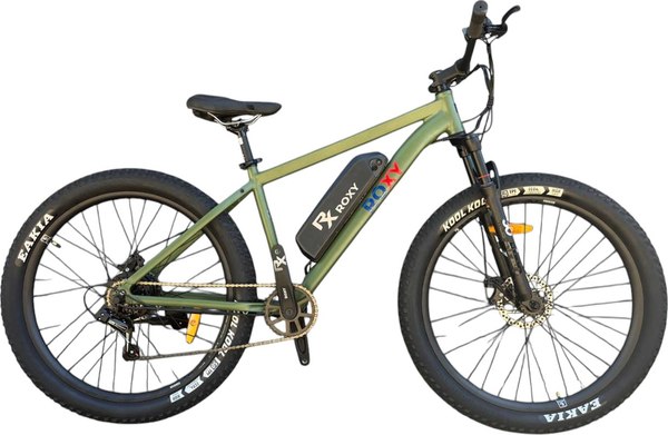 Электровелосипед ROXY D205
