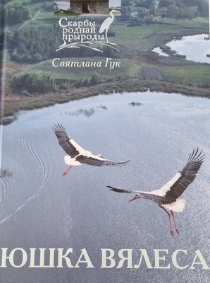 

Книга, Юшка Вясела. Аповесць, твердая обложка