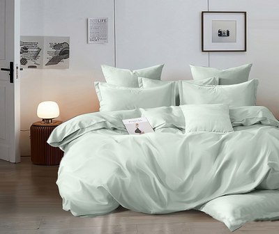 

Комплект постельного белья, Евро Оливковая коллекция на резинке 180x200 Нежная мята 12-6205