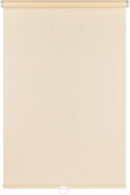 Рулонная штора Franc Gardiner Juta Cs 120x190 / 14874438 (натуральный) -