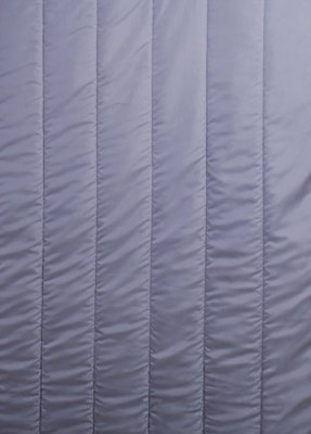 

Одеяло, 2сп Deluxe Swan 150 Микрофибра 42/386 172x205