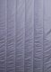 Одеяло Реноме 2сп Deluxe Swan 150 Микрофибра 42/386 172x205 - 
