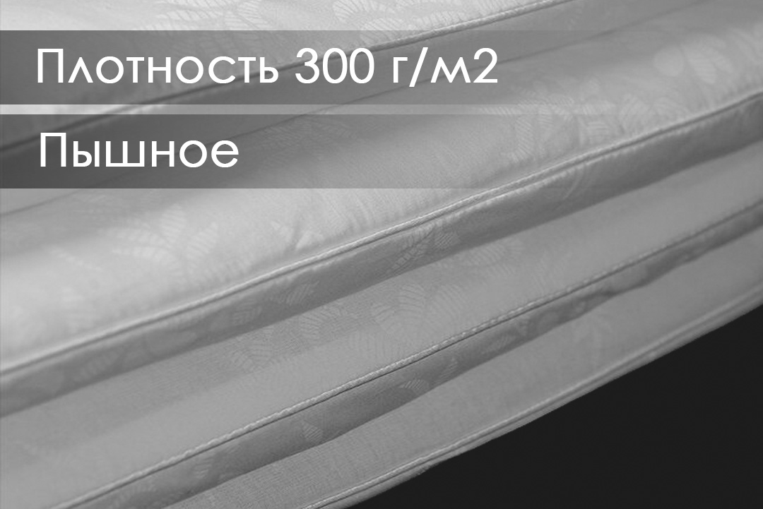 Одеяло Реноме 2сп Поплин белый 14/253н 172x205 (бамбук, 300) — фото 3
