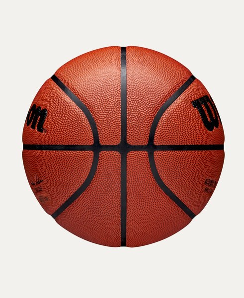 Баскетбольный мяч Wilson Nba Authentic Indoor Outdoor Bskt / WZ2016501XB7 (р.7)