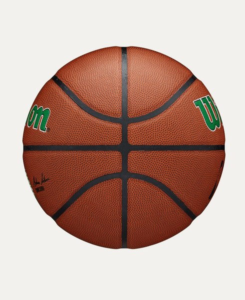 Баскетбольный мяч Wilson Nba Team Alliance Bskt Bos Celtics / WZ4029302XB7 (р.7)
