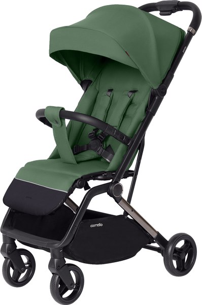 Детская прогулочная коляска Carrello Porto CRL-5522