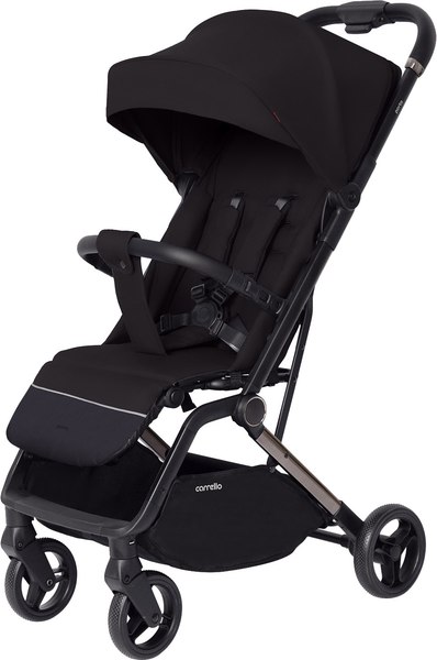 Детская прогулочная коляска Carrello Porto CRL-5522