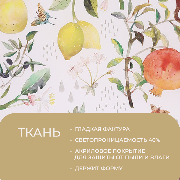 Рулонная штора Franc Gardiner Print Фрукты 65x160 / 9403217494 (мультиколор)