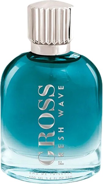 Туалетная вода Christine Lavoisier Gross Fresh Wave (100мл)