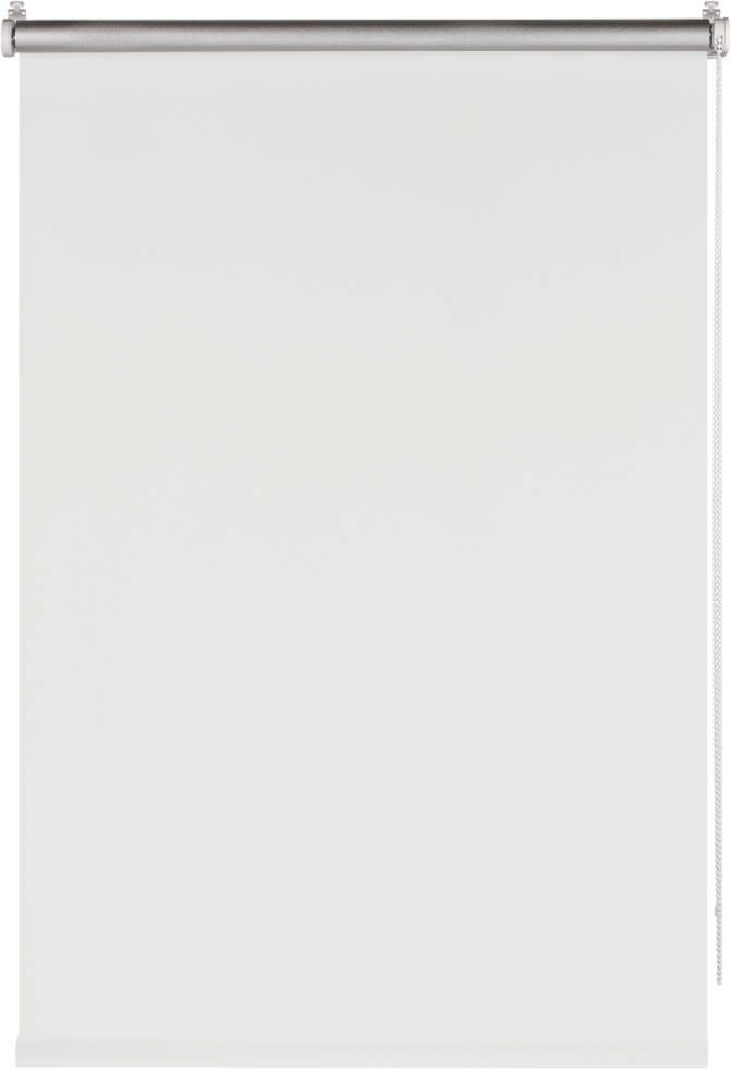 Рулонная штора Franc Gardiner Blackout Silver 80x160 / 7794441 (белый) — фото 1