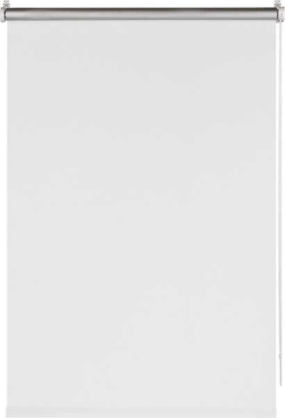 Рулонная штора Franc Gardiner Blackout Silver 90x160 / 7794458 (белый)