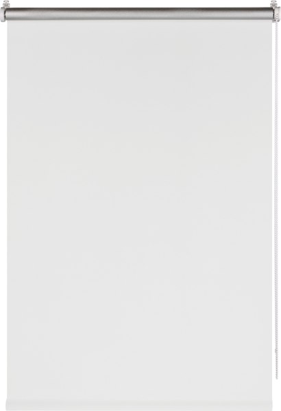 Рулонная штора Franc Gardiner Blackout Silver 110x160 / 7794472 (белый)