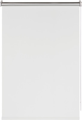 Рулонная штора Franc Gardiner Blackout Silver 120x160 / 7794489 (белый) - 