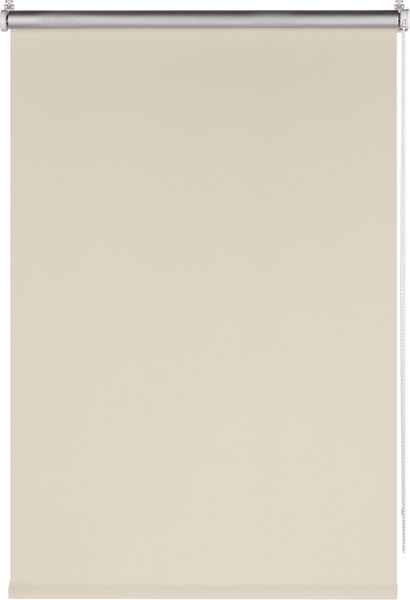 Рулонная штора Franc Gardiner Blackout Silver 75x160 / 9403219735 (светло-бежевый)