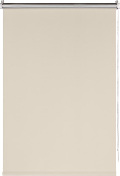 Рулонная штора Franc Gardiner Blackout Silver 160x175 / 7794632 (светло-бежевый)