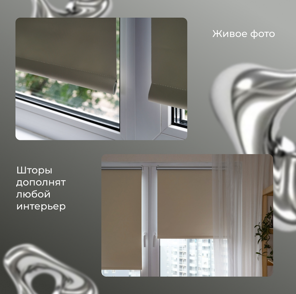 Рулонная штора Franc Gardiner Blackout Silver 160x175 / 7794632 (светло-бежевый)