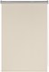 Рулонная штора Franc Gardiner Blackout Silver 160x175 / 7794632 (светло-бежевый) - 