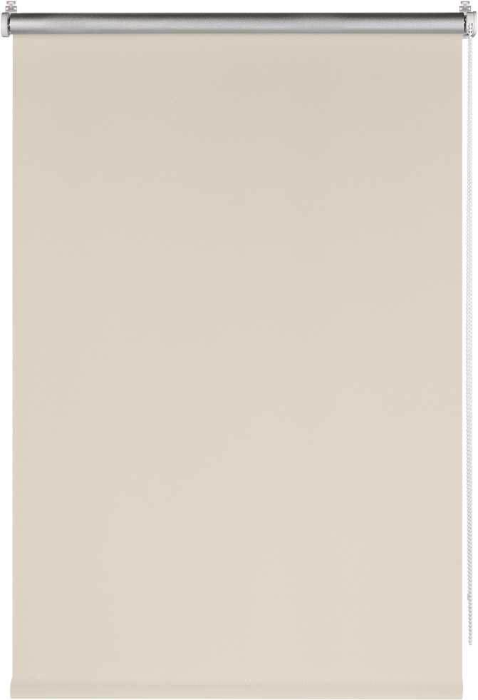 Рулонная штора Franc Gardiner Blackout Silver 140x175 / 7794625 (светло-бежевый) — фото 1
