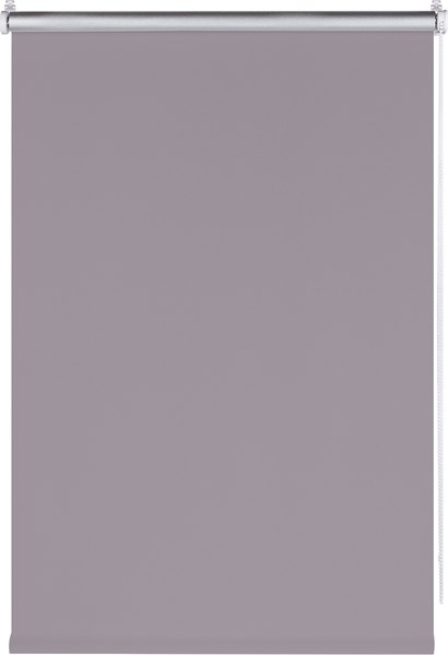 Рулонная штора Franc Gardiner Blackout Silver 55x160 / 7792072 (серый)