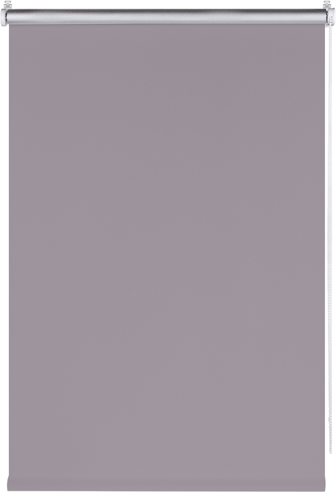 Рулонная штора Franc Gardiner Blackout Silver 80x160 / 7792102 (серый) — фото 1