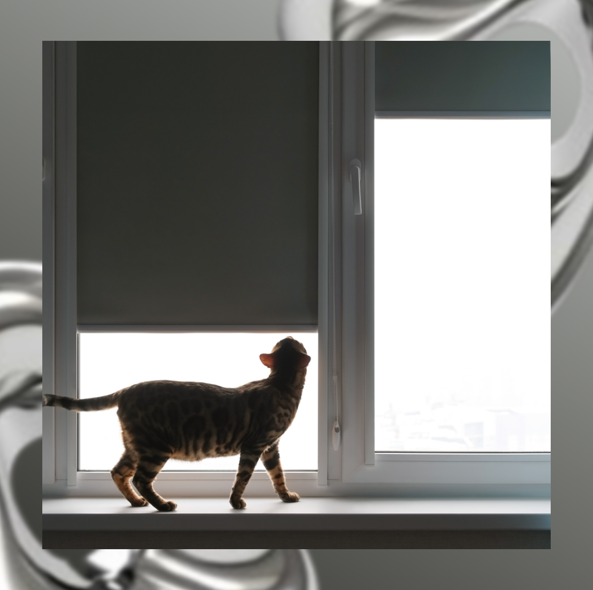 Рулонная штора Franc Gardiner Blackout Silver 120x160 / 7792140 (серый) — фото 4