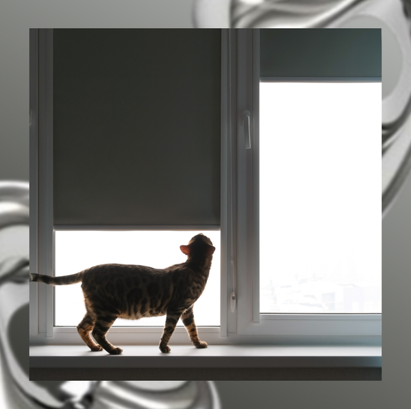Рулонная штора Franc Gardiner Blackout Silver 110x250 / 7202718 (серый)