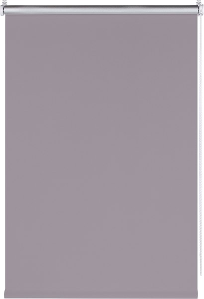 Рулонная штора Franc Gardiner Blackout Silver 110x250 / 7202718 (серый)