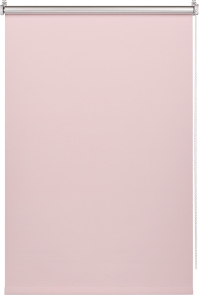 Рулонная штора Franc Gardiner Blackout Silver 110x160 / 7206914