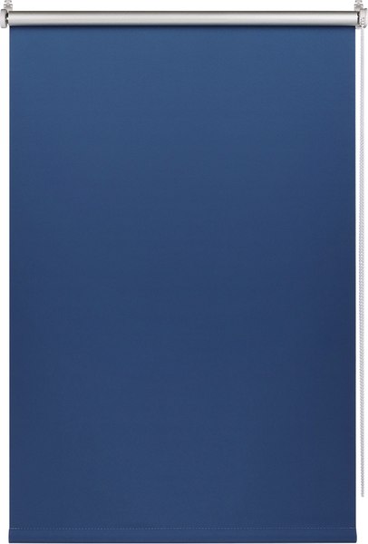 Рулонная штора Franc Gardiner Blackout Silver 100x160 / 7208154 (синий)