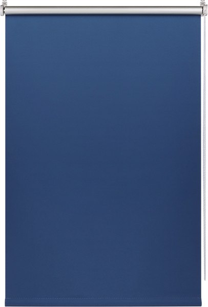 Рулонная штора Franc Gardiner Blackout Silver 110x160 / 7208161 (синий)