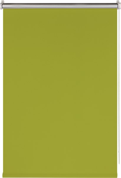 Рулонная штора Franc Gardiner Blackout Silver 45x160 / 9403219763 (зеленый)