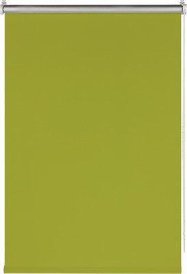 

Рулонная штора, Blackout Silver 100x160 / 7795110