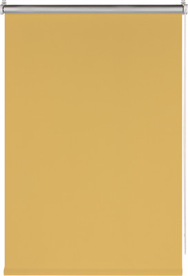 Рулонная штора Franc Gardiner Blackout Silver 40x160 / 7794922 (медовый) -