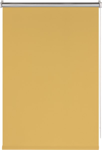 Рулонная штора Franc Gardiner Blackout Silver 100x160 / 7794984 (медовый)
