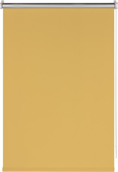 Рулонная штора Franc Gardiner Blackout Silver 110x160 / 7794991 (медовый)