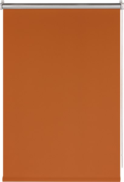 Рулонная штора Franc Gardiner Blackout Silver 110x160 / 7794861 (оранжевый)